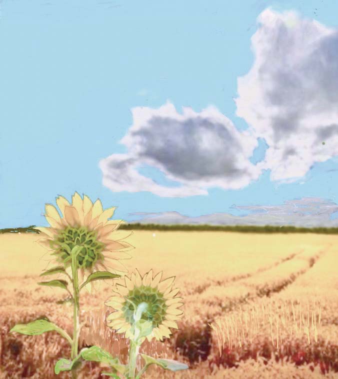 川島如水 平和への祈り